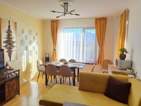 Sunny Mountain View apartment